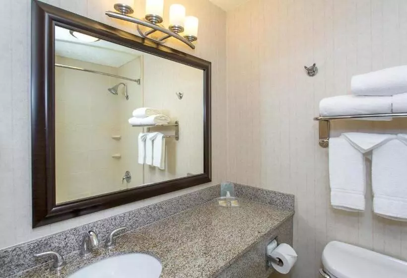 فندق Holiday Inn Bloomington University Area, An Ihg