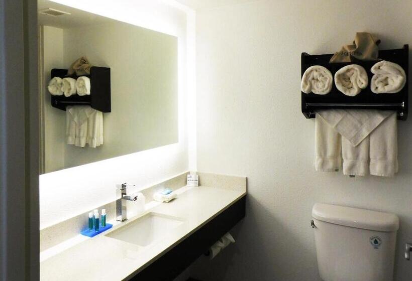 Отель Holiday Inn Express   Coventry S   West Warwick Area, An Ihg