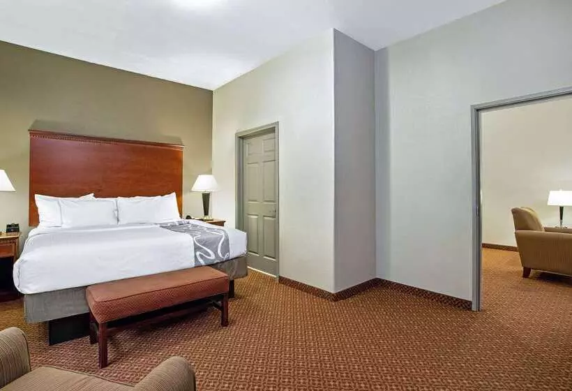 酒店 La Quinta By Wyndham Fairfield Tx