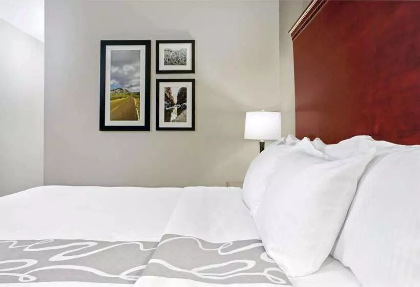 酒店 La Quinta By Wyndham Fairfield Tx