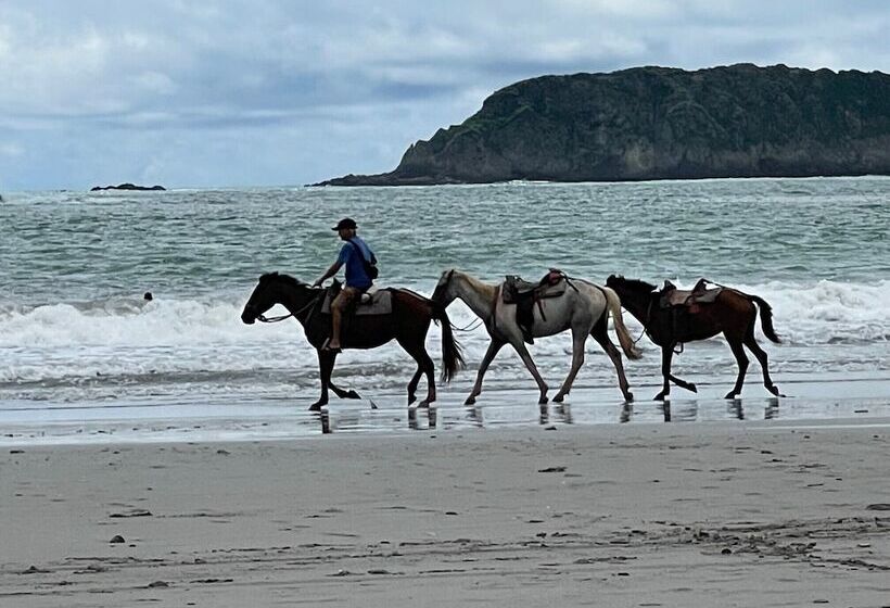 ホテル Las Brisas Resort And Villas