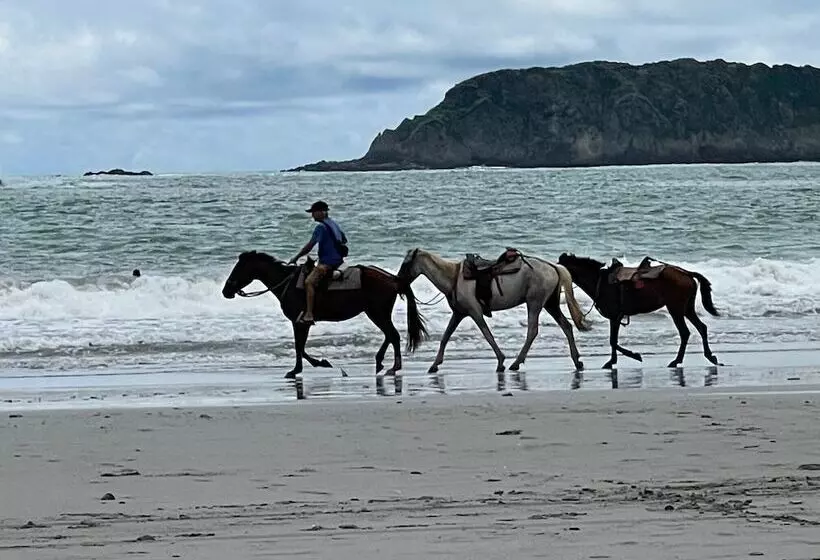 Hotel Las Brisas Resort And Villas