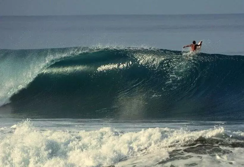 Hotel Las Brisas Resort And Villas