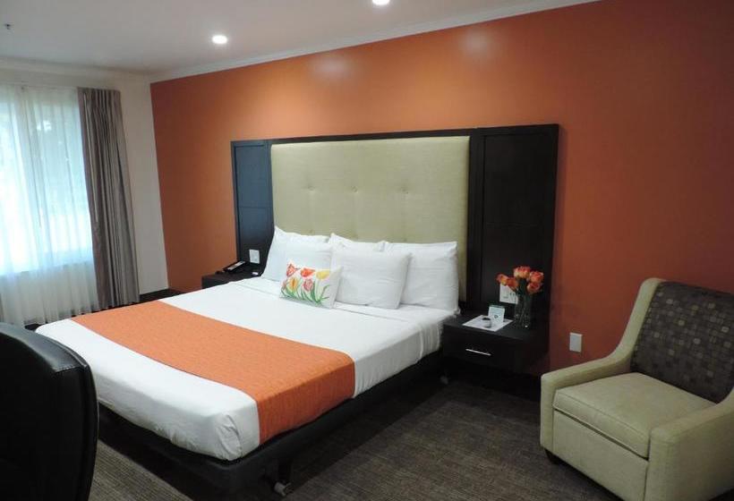 בית מלון כפרי Pavilion Inn