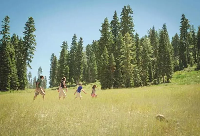 호텔 The Ritz Carlton, Lake Tahoe