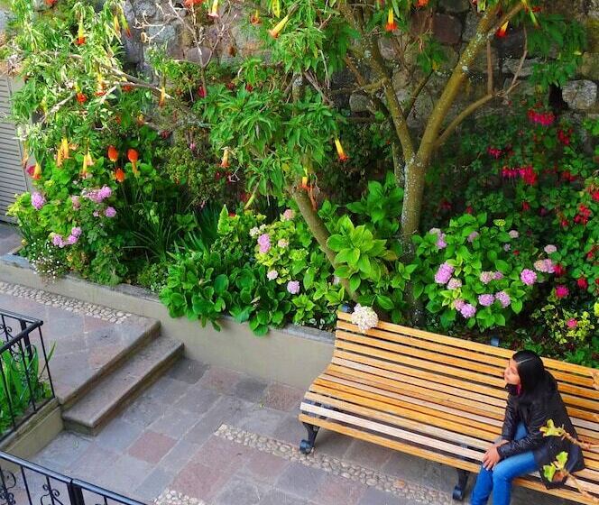 تختخواب و صبحانه Eco Hotel Pension Alemana