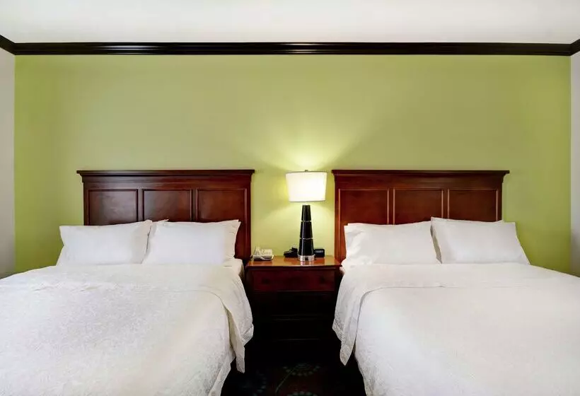 Hampton Inn & Suites San Antonio/northeast I35