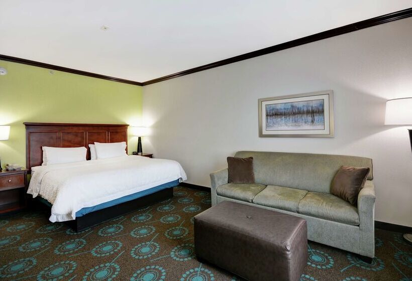 Hampton Inn & Suites San Antonio/northeast I35