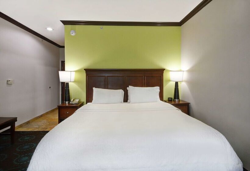 Hampton Inn & Suites San Antonio/northeast I35