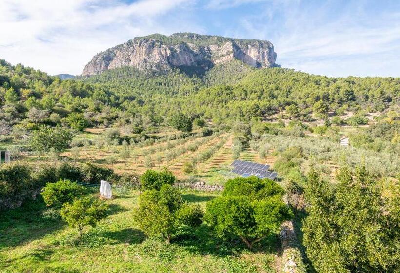 בית מלון כפרי Agroturismo Filicumis By Mhr