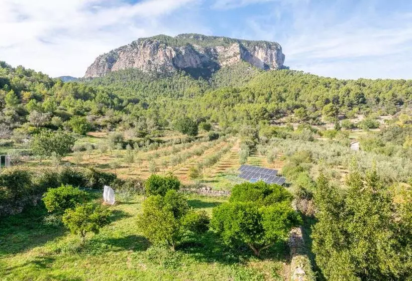 호텔 Agroturismo Filicumis By Mhr