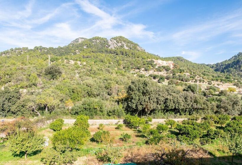 בית מלון כפרי Agroturismo Filicumis By Mhr