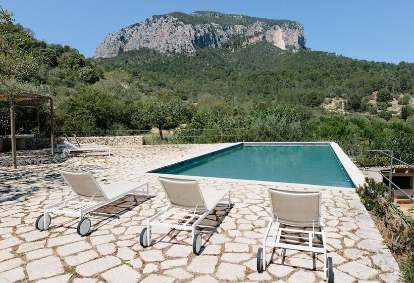 בית מלון כפרי Agroturismo Filicumis By Mhr