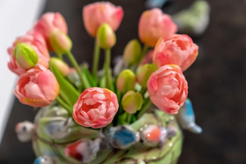 Отель Boardinghouse Burgpark