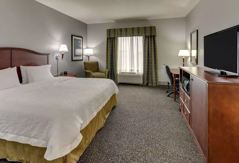 هتل Hampton Inn & Suites Indianapolis Airport