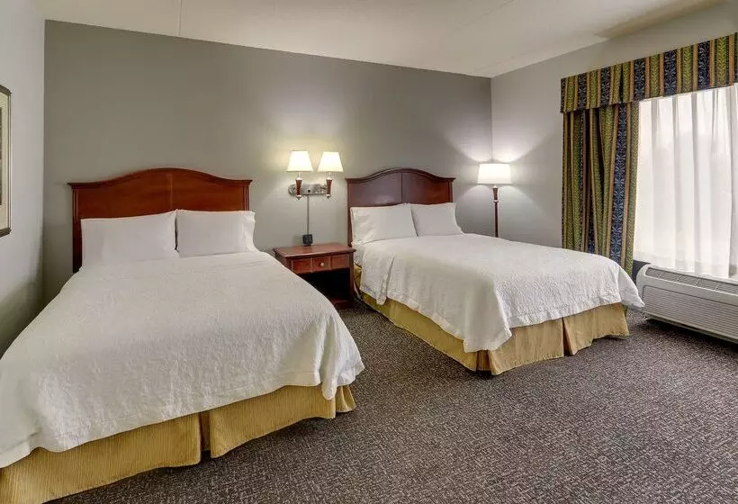 ホテル Hampton Inn & Suites Indianapolis Airport