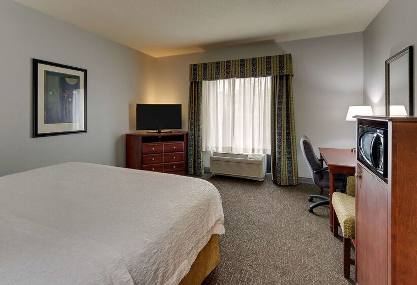 هتل Hampton Inn & Suites Indianapolis Airport