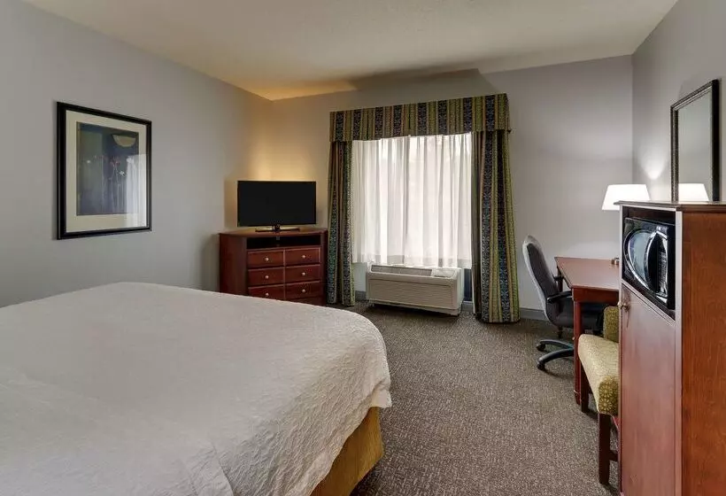 هتل Hampton Inn & Suites Indianapolis Airport
