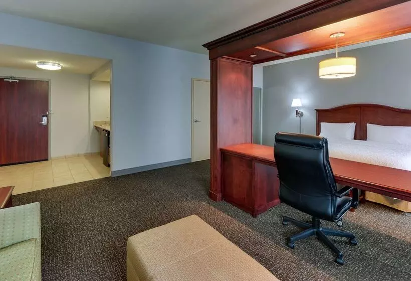 ホテル Hampton Inn & Suites Indianapolis Airport