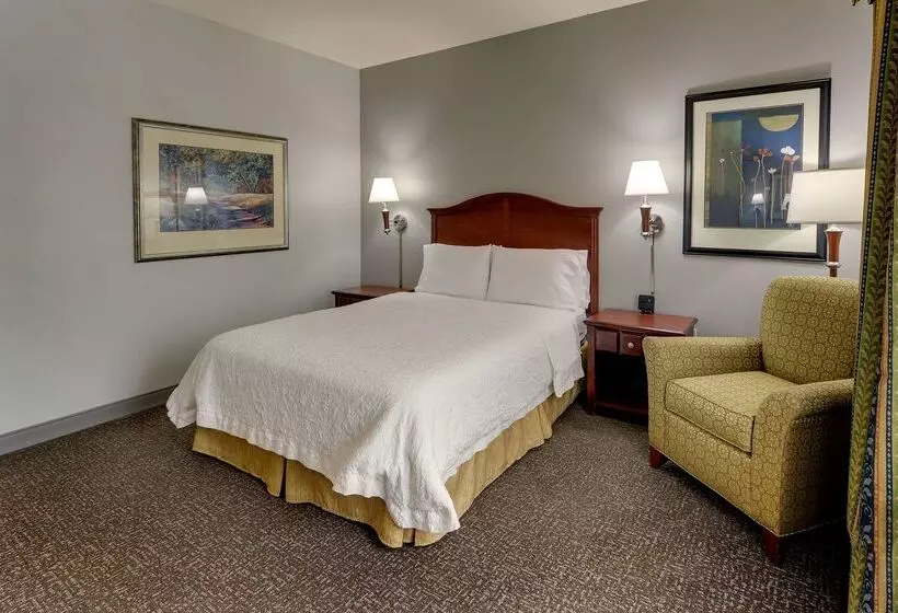 ホテル Hampton Inn & Suites Indianapolis Airport