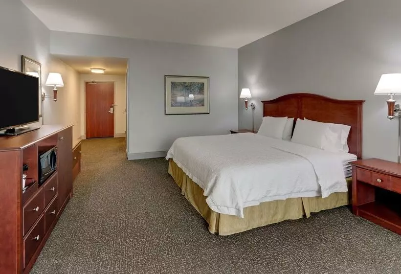 ホテル Hampton Inn & Suites Indianapolis Airport