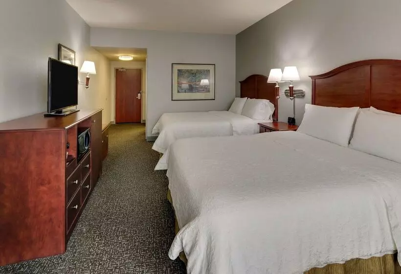 هتل Hampton Inn & Suites Indianapolis Airport