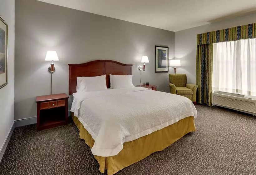 ホテル Hampton Inn & Suites Indianapolis Airport