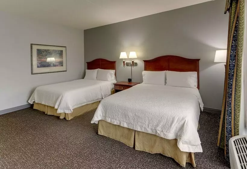 ホテル Hampton Inn & Suites Indianapolis Airport
