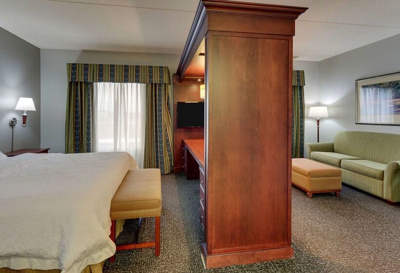 هتل Hampton Inn & Suites Indianapolis Airport