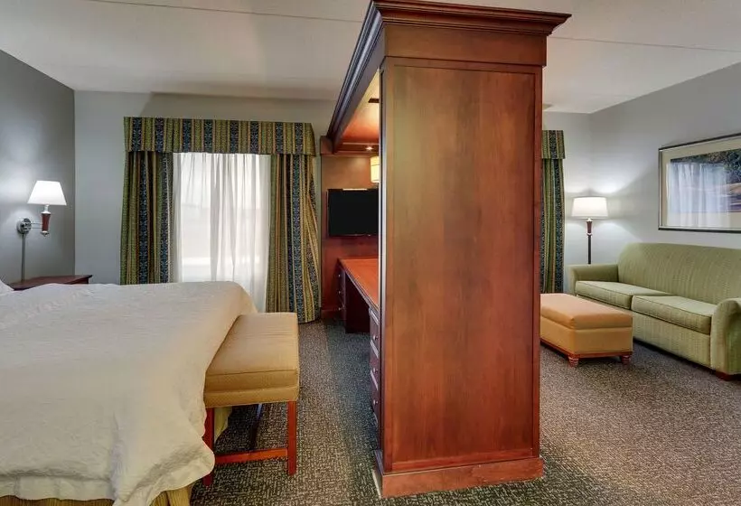 هتل Hampton Inn & Suites Indianapolis Airport