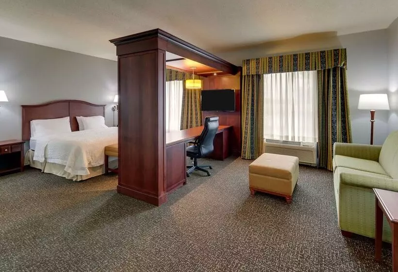 ホテル Hampton Inn & Suites Indianapolis Airport