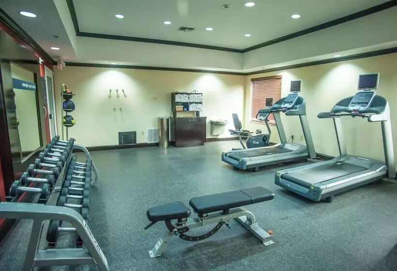 בית מלון כפרי Hampton Inn & Suites Palestine