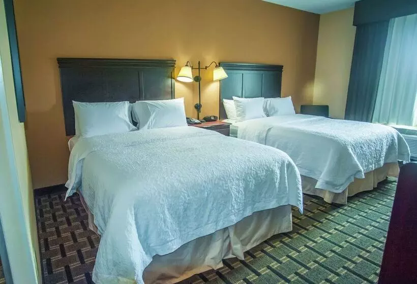 בית מלון כפרי Hampton Inn & Suites Palestine