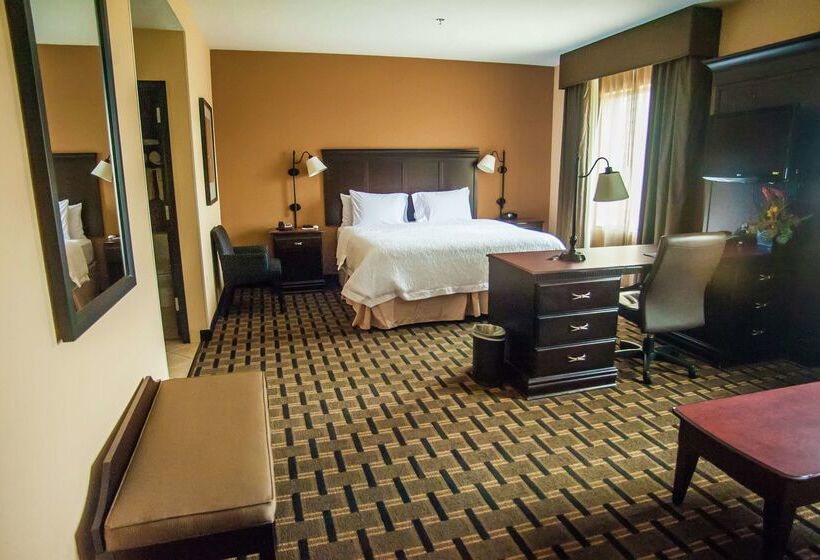 فندق Hampton Inn & Suites Palestine