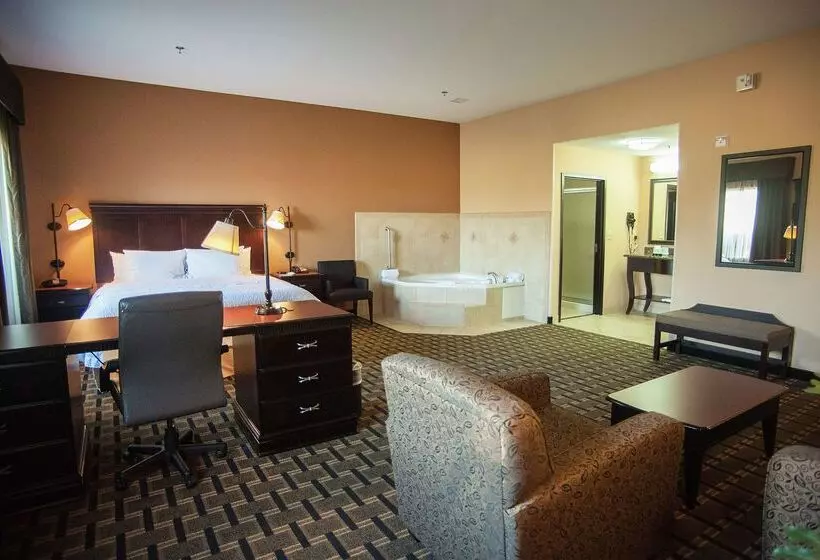 בית מלון כפרי Hampton Inn & Suites Palestine