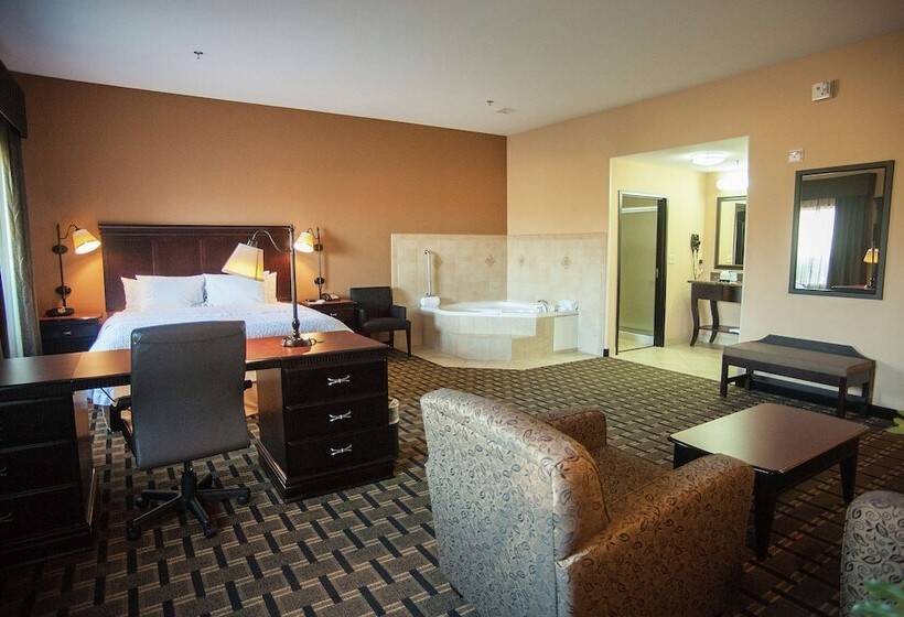 فندق Hampton Inn & Suites Palestine