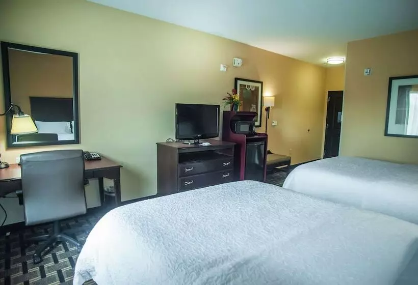 בית מלון כפרי Hampton Inn & Suites Palestine