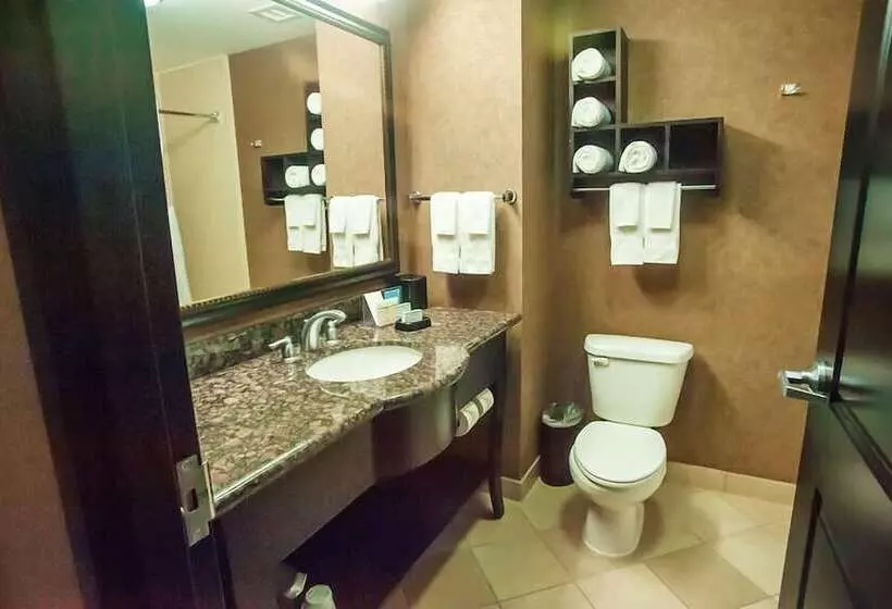 בית מלון כפרי Hampton Inn & Suites Palestine