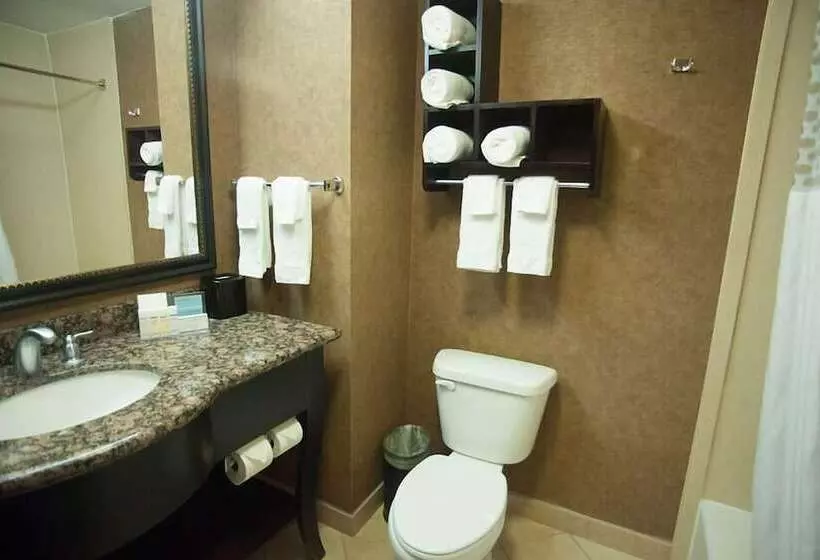 בית מלון כפרי Hampton Inn & Suites Palestine