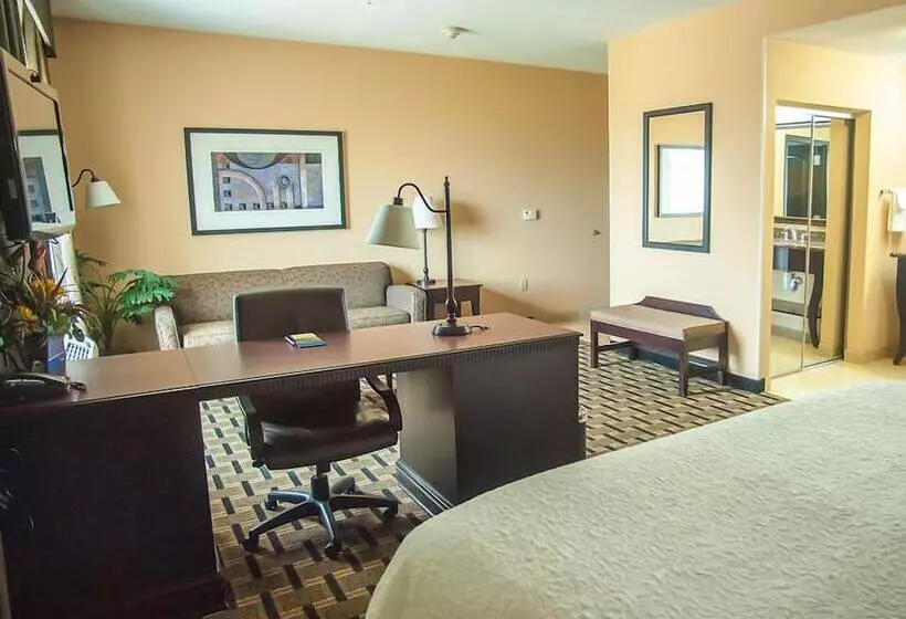 בית מלון כפרי Hampton Inn & Suites Palestine