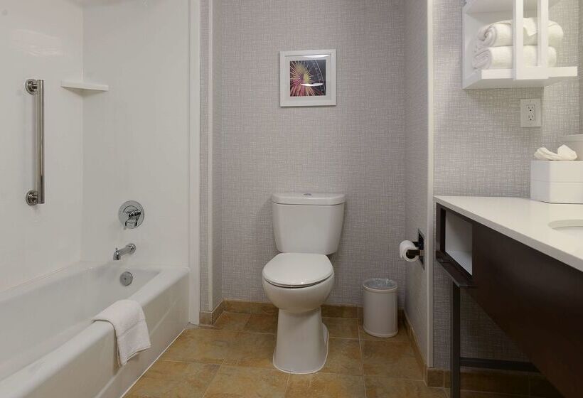 هتل Hampton Inn & Suites Atlsix Flags