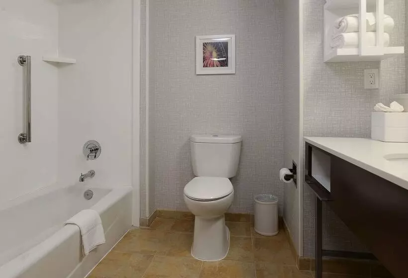 בית מלון כפרי Hampton Inn & Suites Atlsix Flags