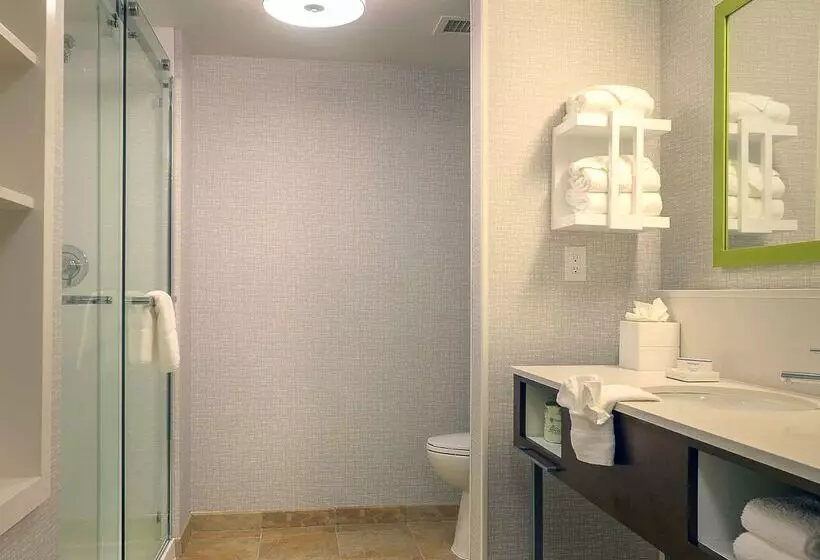 בית מלון כפרי Hampton Inn & Suites Atlsix Flags