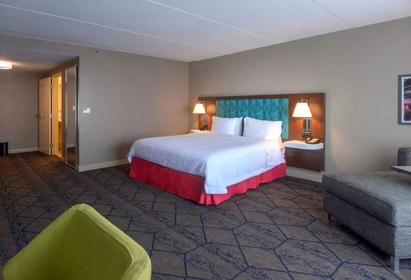 בית מלון כפרי Hampton Inn & Suites Atlsix Flags