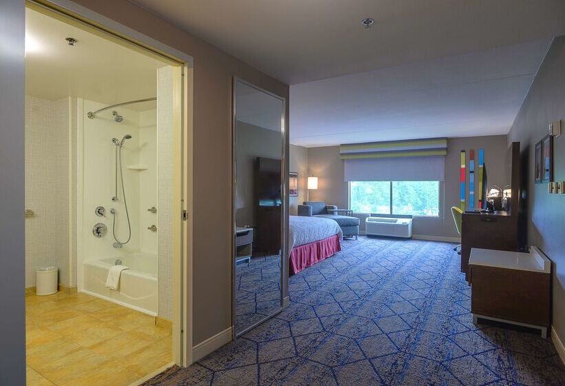 هتل Hampton Inn & Suites Atlsix Flags