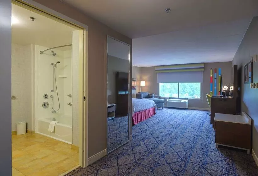 בית מלון כפרי Hampton Inn & Suites Atlsix Flags