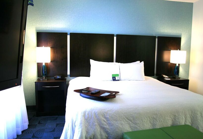 Отель Hampton Inn & Suites Dallas/lewisvillevista Ridge Mall, Tx