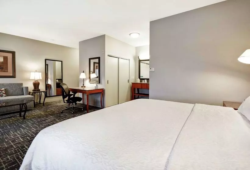 Отель Hampton Inn & Suites Salt Lake Citywest Jordan