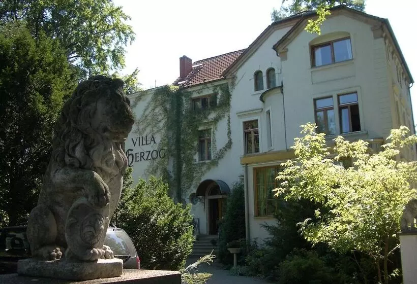 هتل Villa Herzog