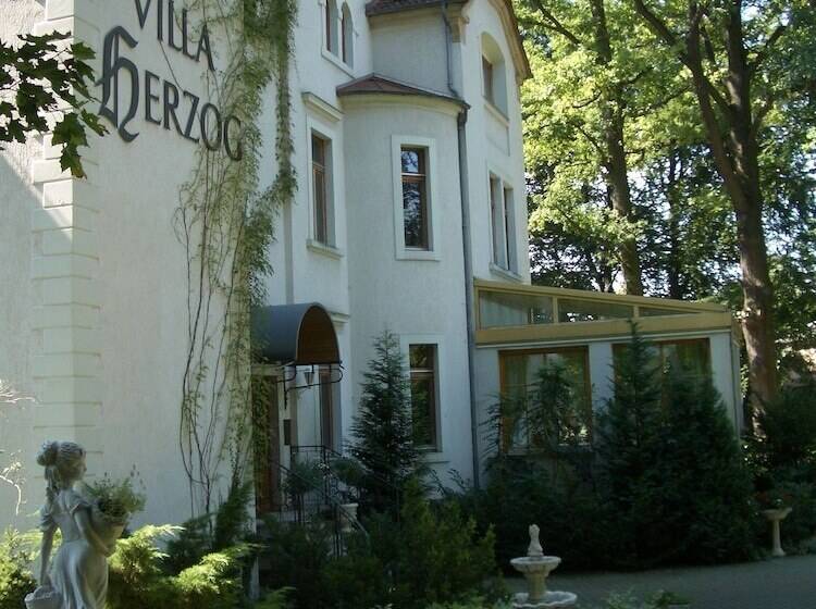 فندق Villa Herzog